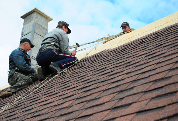Professional Roofing Contractor in Adel, IA